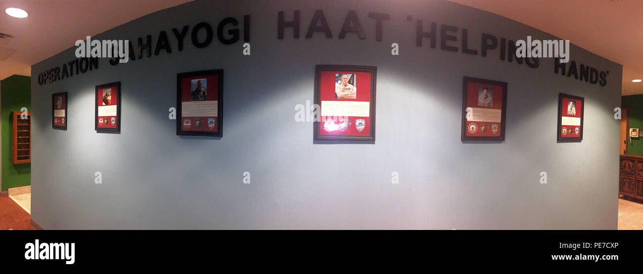 Sei Marines, insieme con due esercito nepalese Liaison soldati e cinque feriti civili nepalese, che hanno perso la vita durante un incidente aereo il 12 maggio. I marines sono state conducendo la fornitura di assistenza umanitaria e di soccorso in caso di catastrofe le operazioni a sostegno della Joint Task Force 505, durante il funzionamento Sahayogi Haat quando i loro aeromobili è andato giù. "Vendetta Hall' presso l'U.S. Ambasciata Kathmandu, Nepal, è stato dedicato in loro onore. (USMC photo-stitch illustrazione) Foto Stock