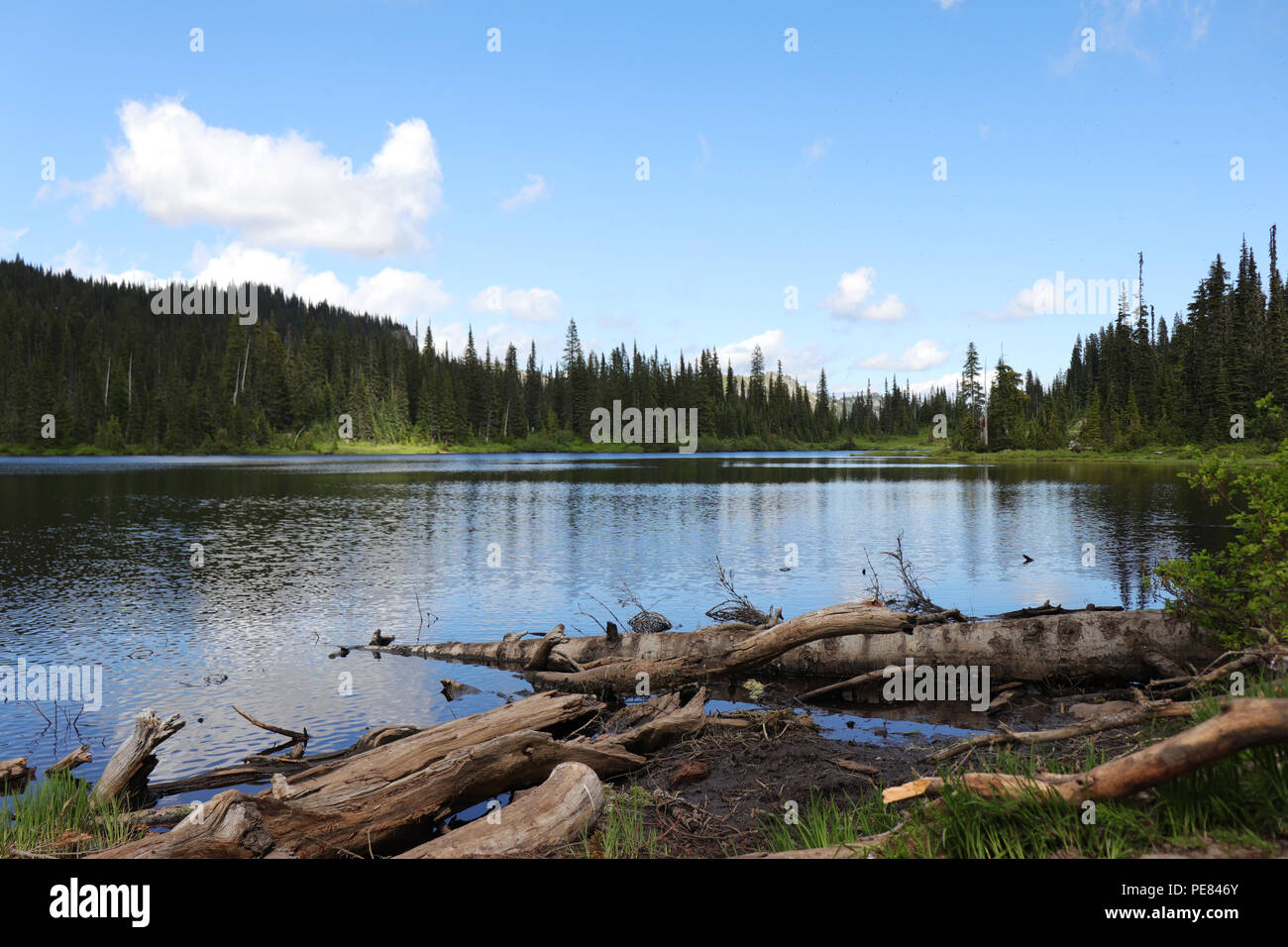 Lago di riflessione presso il Parco Nazionale del Monte Rainier, Washington Foto Stock