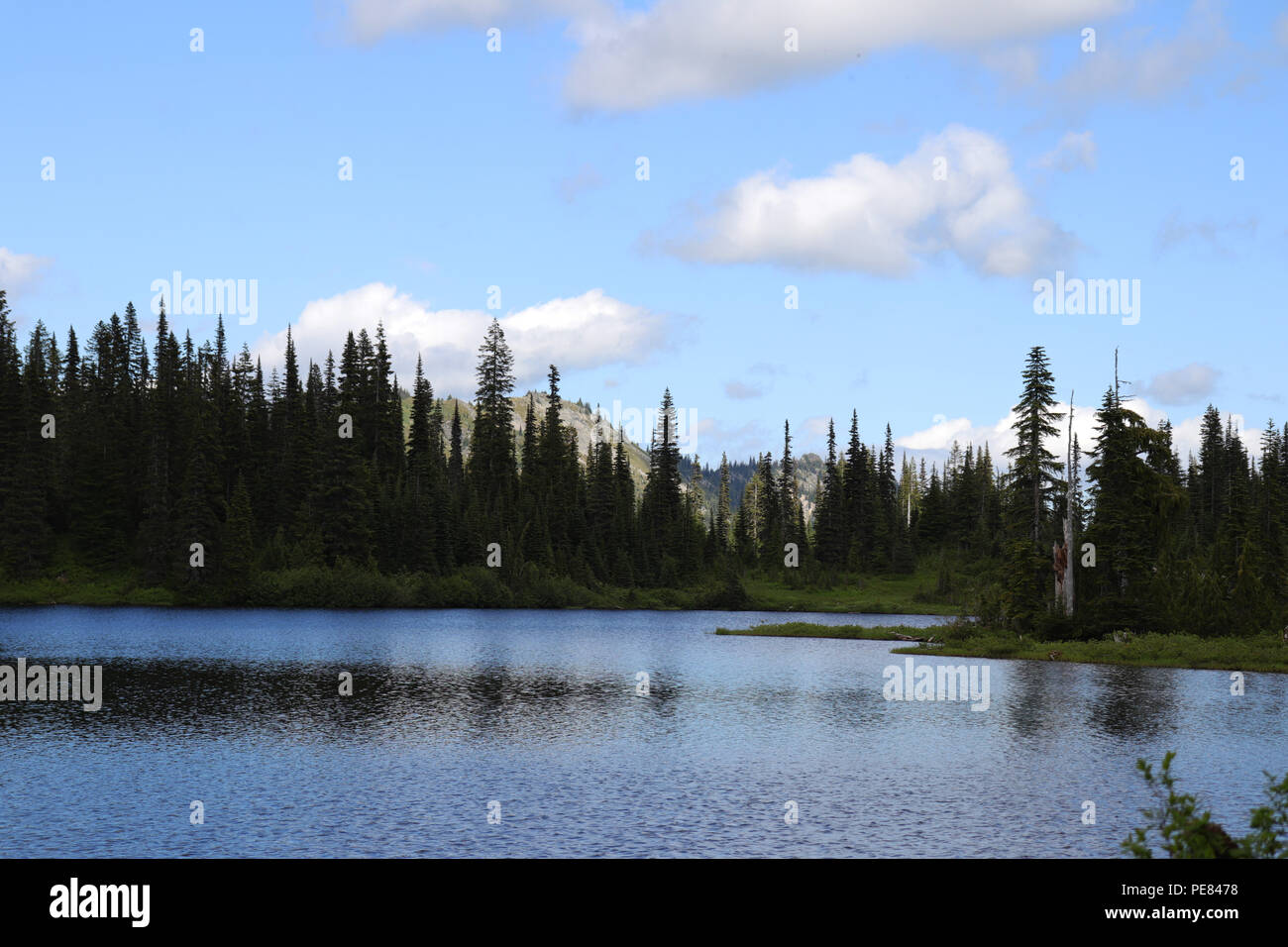 Lago di riflessione presso il Parco Nazionale del Monte Rainier, Washington Foto Stock