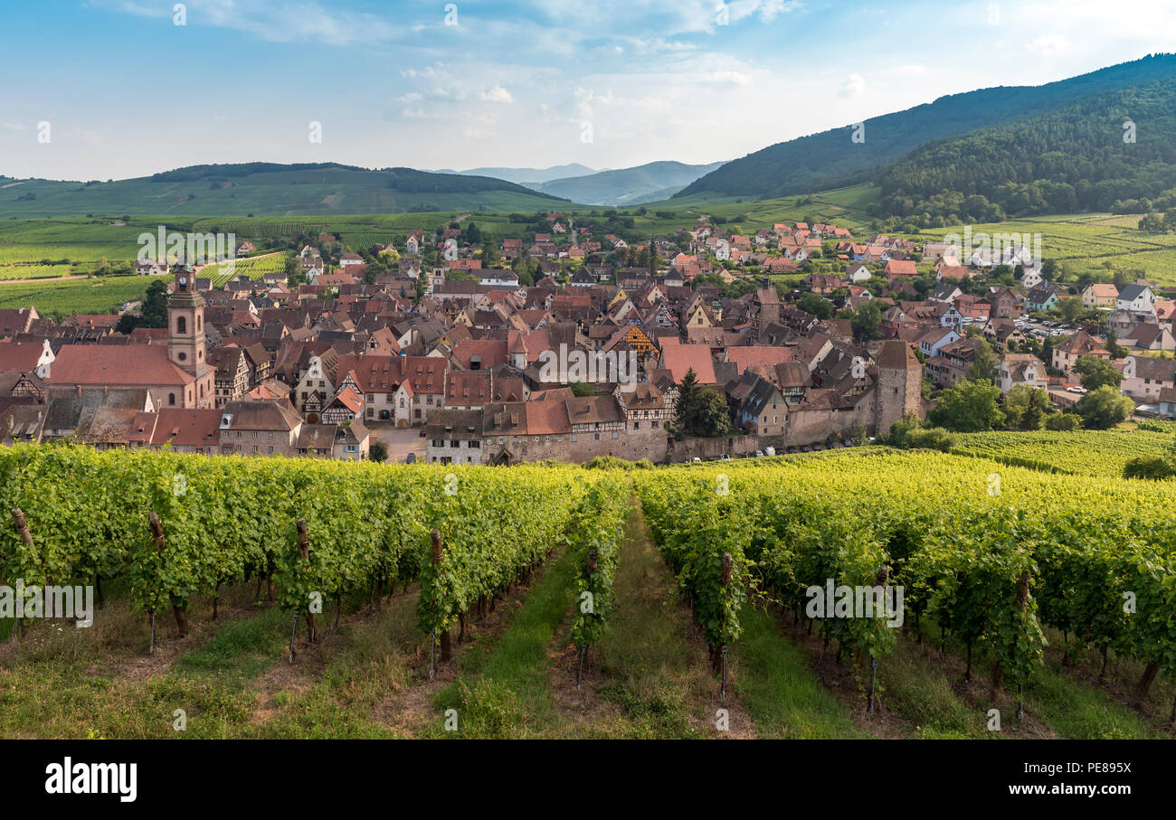 Vista di Riquewihr, strada del vino in Alsazia, Francia Foto Stock