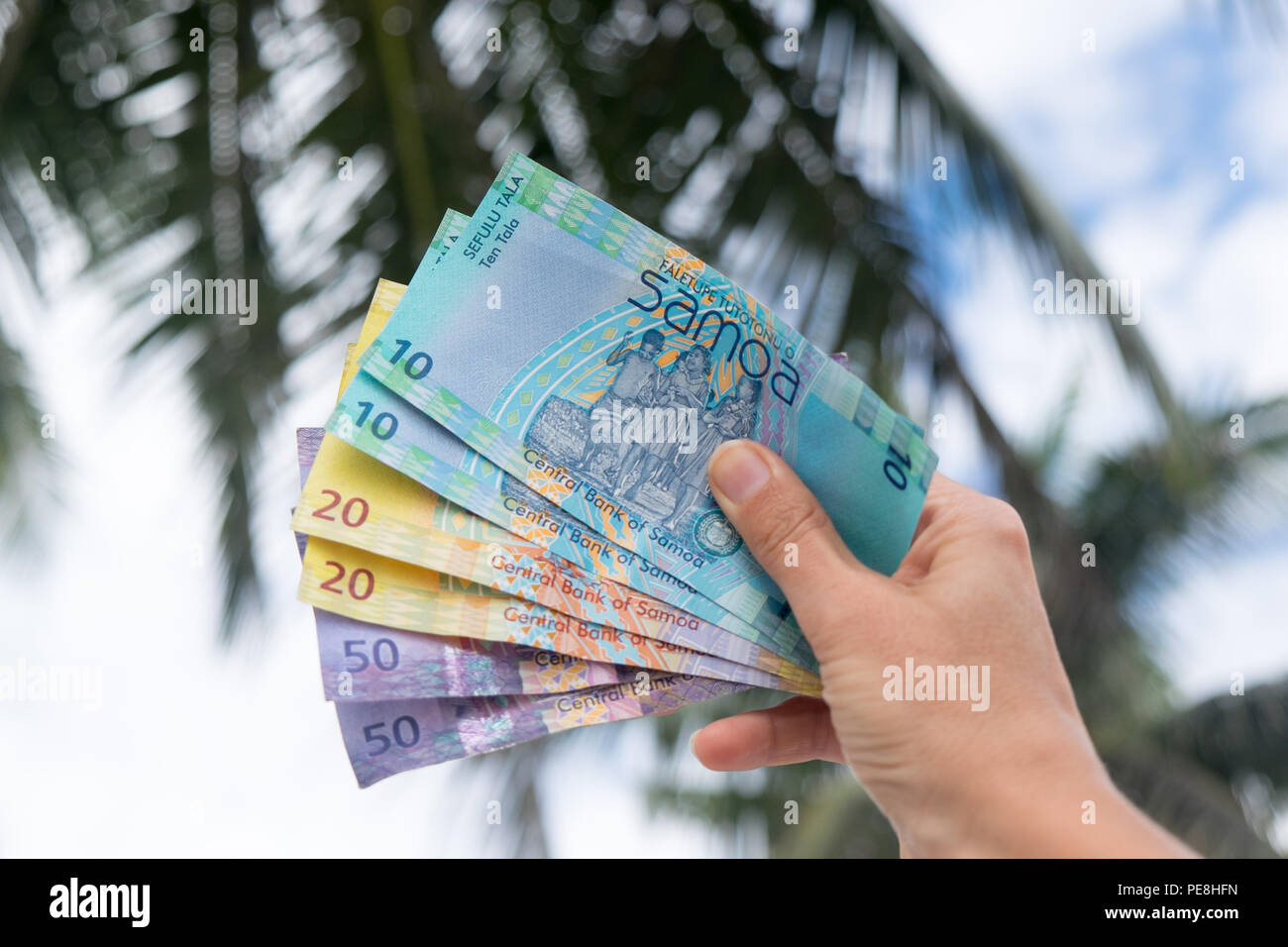 Il samoano Tala valuta (WST) - lato destro tenendo colorato banconote da Western Samoa nel Pacifico del Sud con palme in background Foto Stock