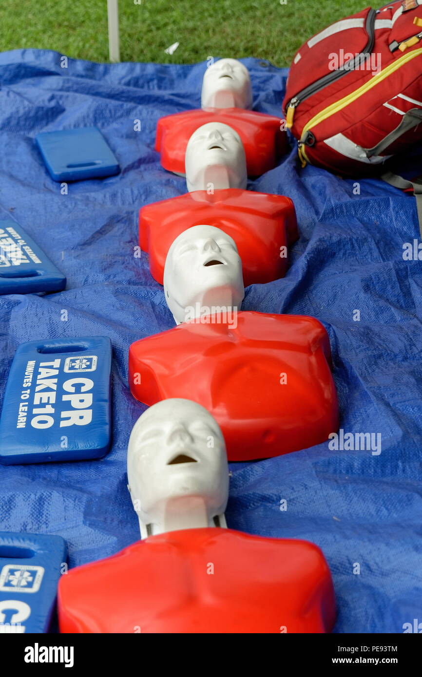 La rianimazione cardiopolmonare (RCP) pratica manichini presso il pronto per una vita di risparmio di classe di formazione. Foto Stock