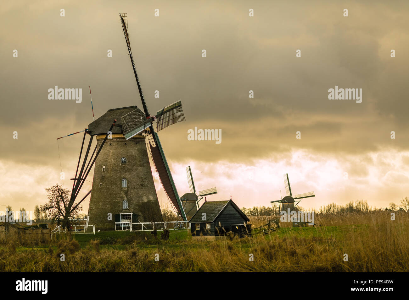 Gli storici mulini a vento olandese vicino a Rotterdam Foto Stock