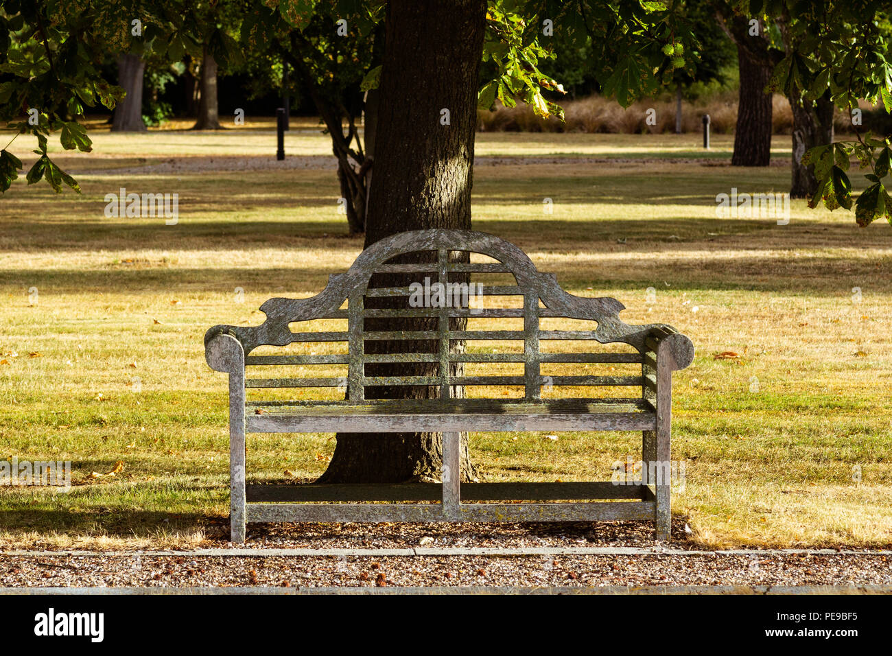 Una panchina vuota del parco, ombreggiata da alberi maturi Foto Stock