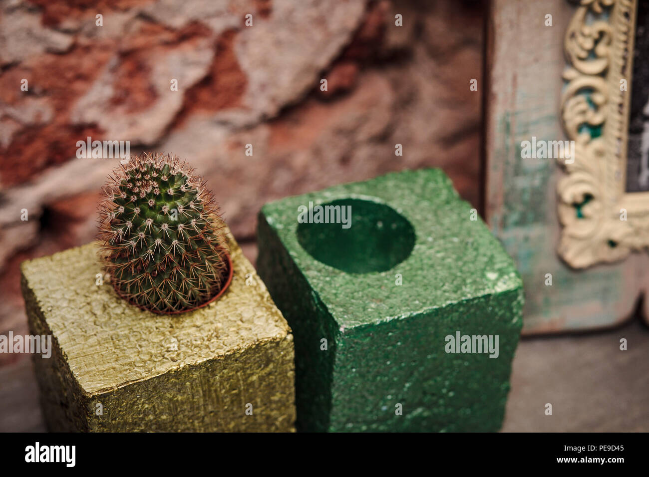 Cactus in un giallo deco pot accanto a un vuoto pot verde Foto Stock