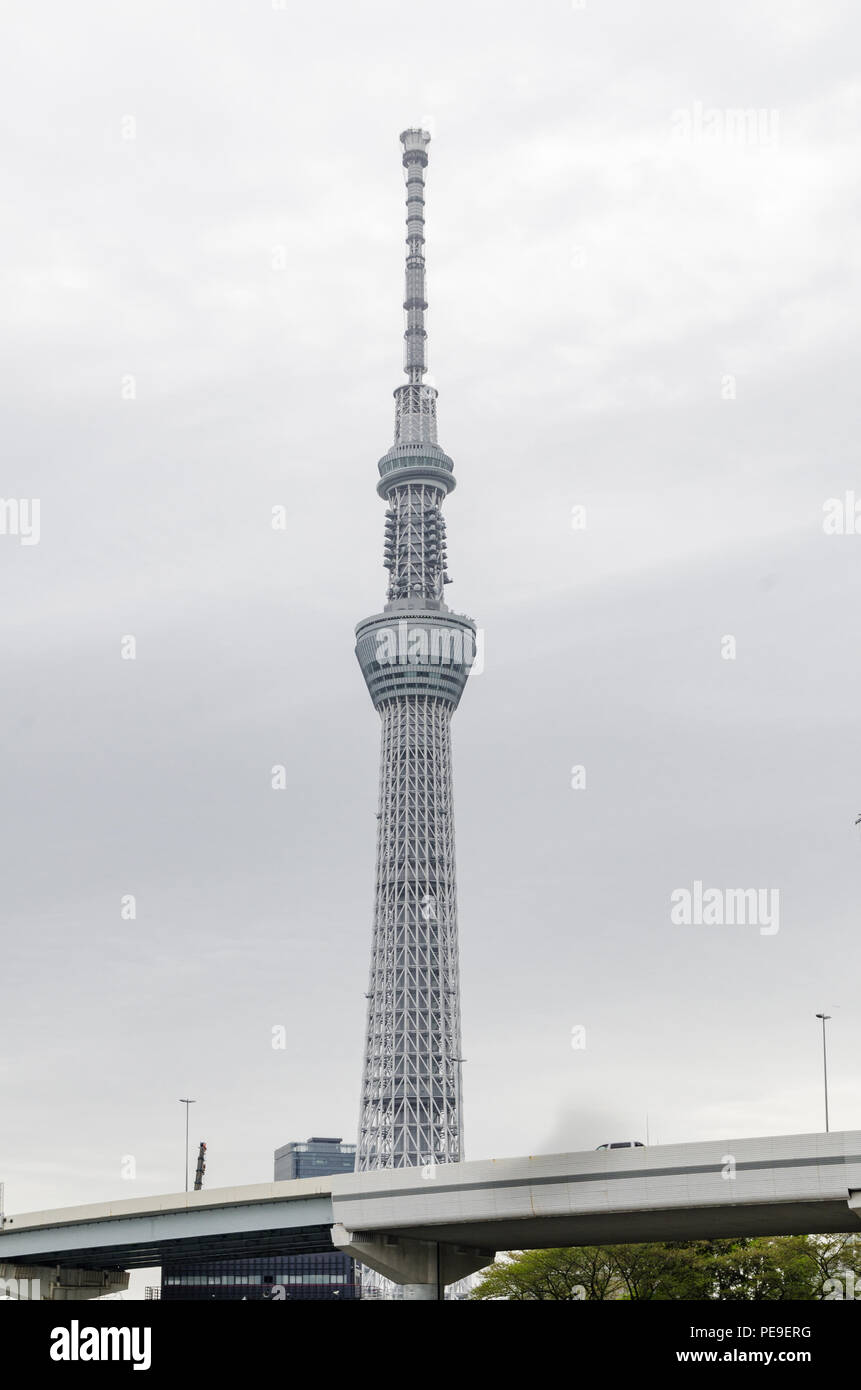 Edifici iconici come visto dal Parco Sumida, attraverso il Fiume Sumida. Tali edifici sono Asahi HQ e Torre del quartiere Sumida Office e Tokyo Skytree. Foto Stock