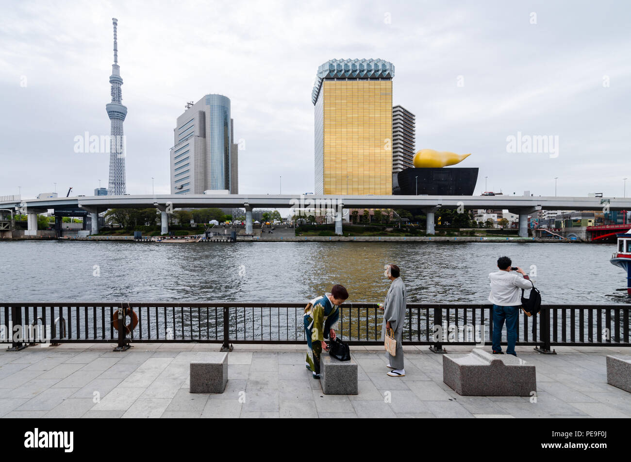 Edifici iconici come visto dal Parco Sumida, attraverso il Fiume Sumida. Tali edifici sono Asahi HQ e Torre del quartiere Sumida Office e Tokyo Skytree. Foto Stock