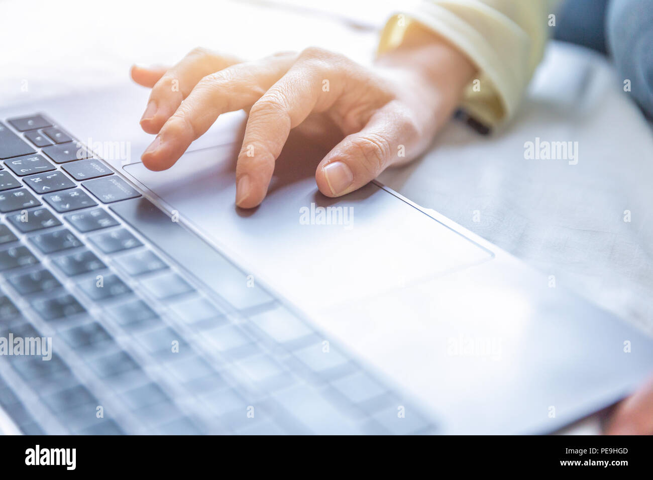 Scena morbida da donna a mano i dati di ricerca su Internet dal computer portatile presso l'ufficio domestico. Foto Stock