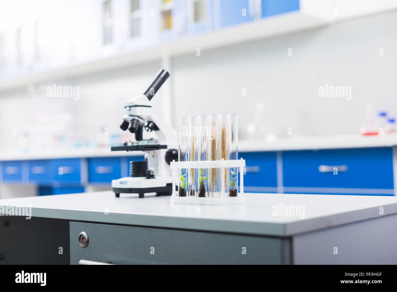 Futuro ora. Verde piani poco sviluppando in fiale durante la messa in stand e stare sulla tavola bianco Foto Stock