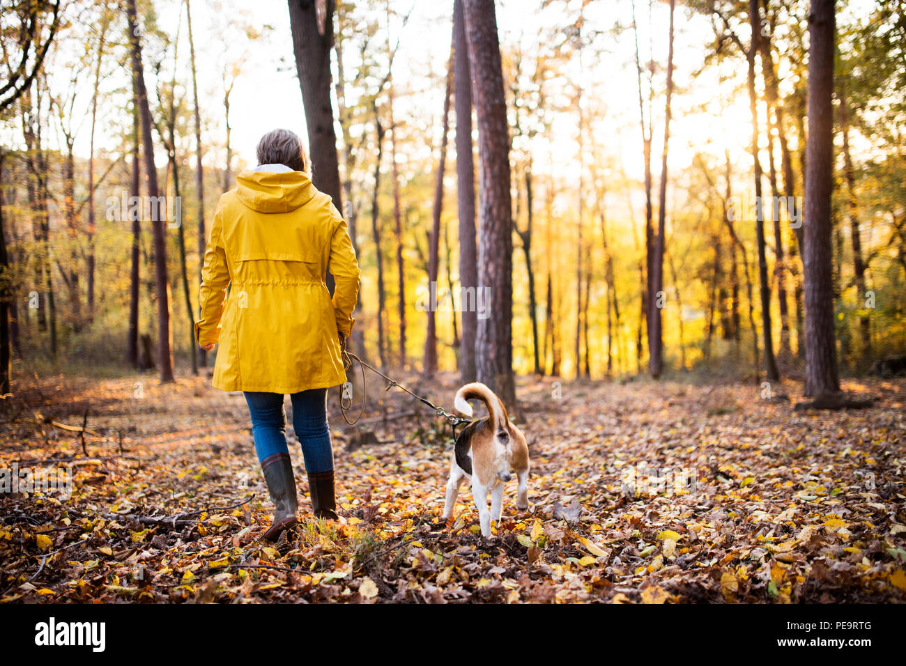 Donna senior con il cane in una passeggiata in un bosco d'autunno. Foto Stock