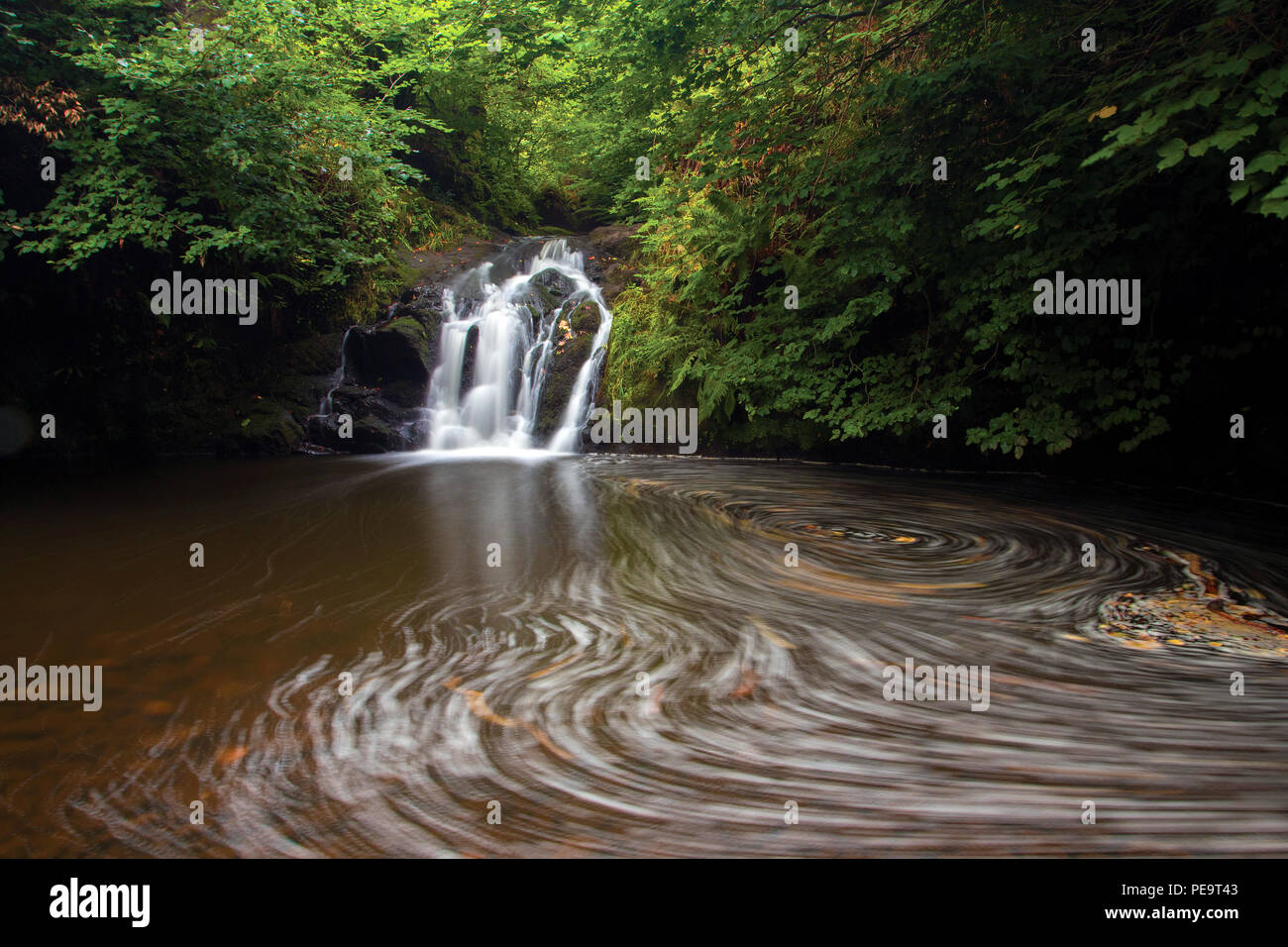 La cascata e il Killoch acqua, Killoch Glen, Gateside, Barrhead, East Renfrewshire Foto Stock
