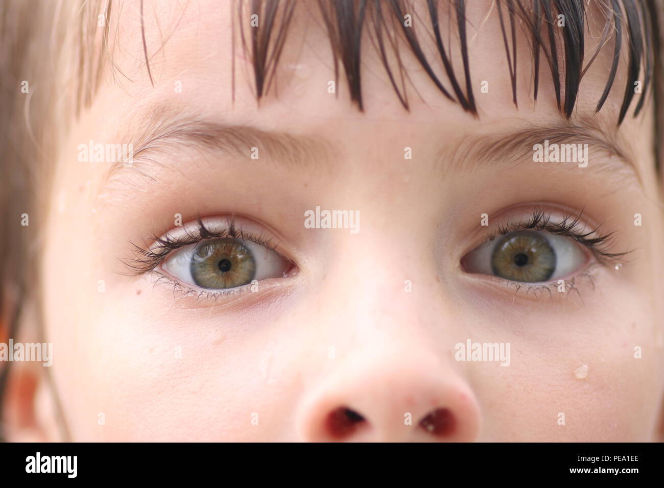 Vista dettagliata del bambino occhi verde con espressioni di paura Foto Stock