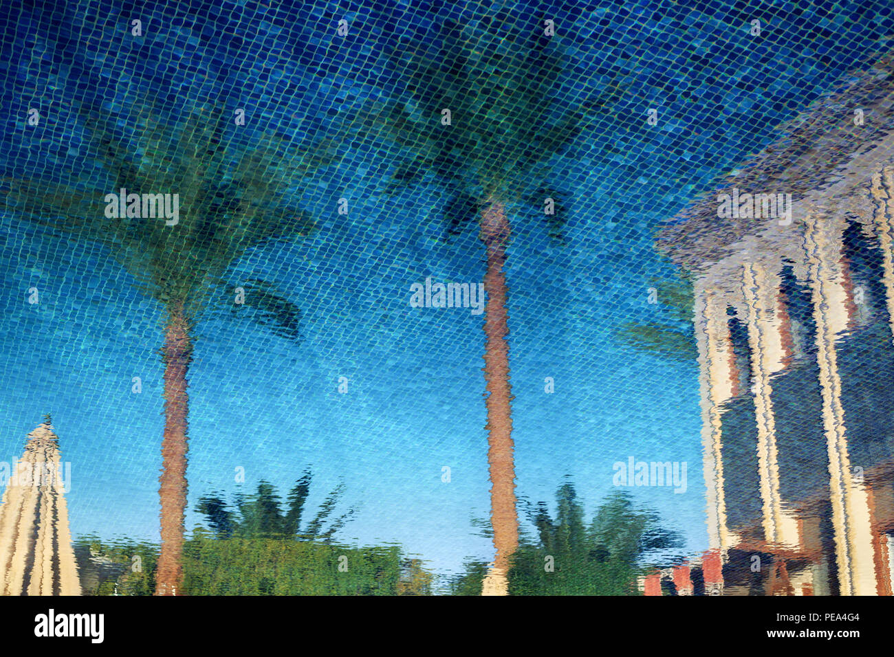 Piscina Tropicale scena, villa Palme e riflessione nel blu dell'acqua. Lusso vacanze estive. Foto Stock