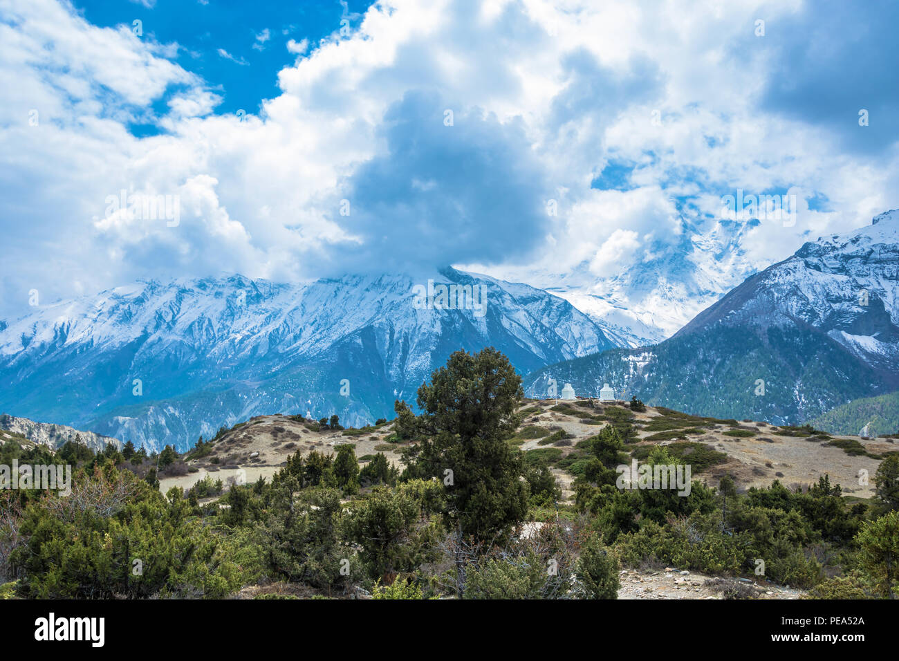 Bellissimo paesaggio di montagna con alberi e cespugli e montagne innevate dell'Himalaya, Nepal. Foto Stock