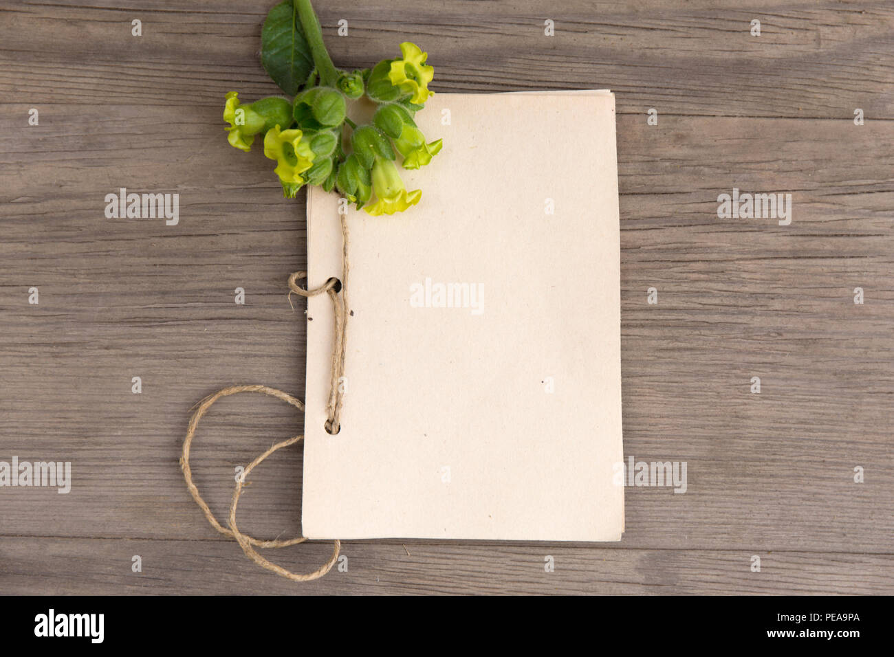 Fiore di tabacco con artigianali fatti a mano notebook sul vecchio grunge sfondo di legno. Vista dall'alto. In stile minimalista mockup. Foto Stock