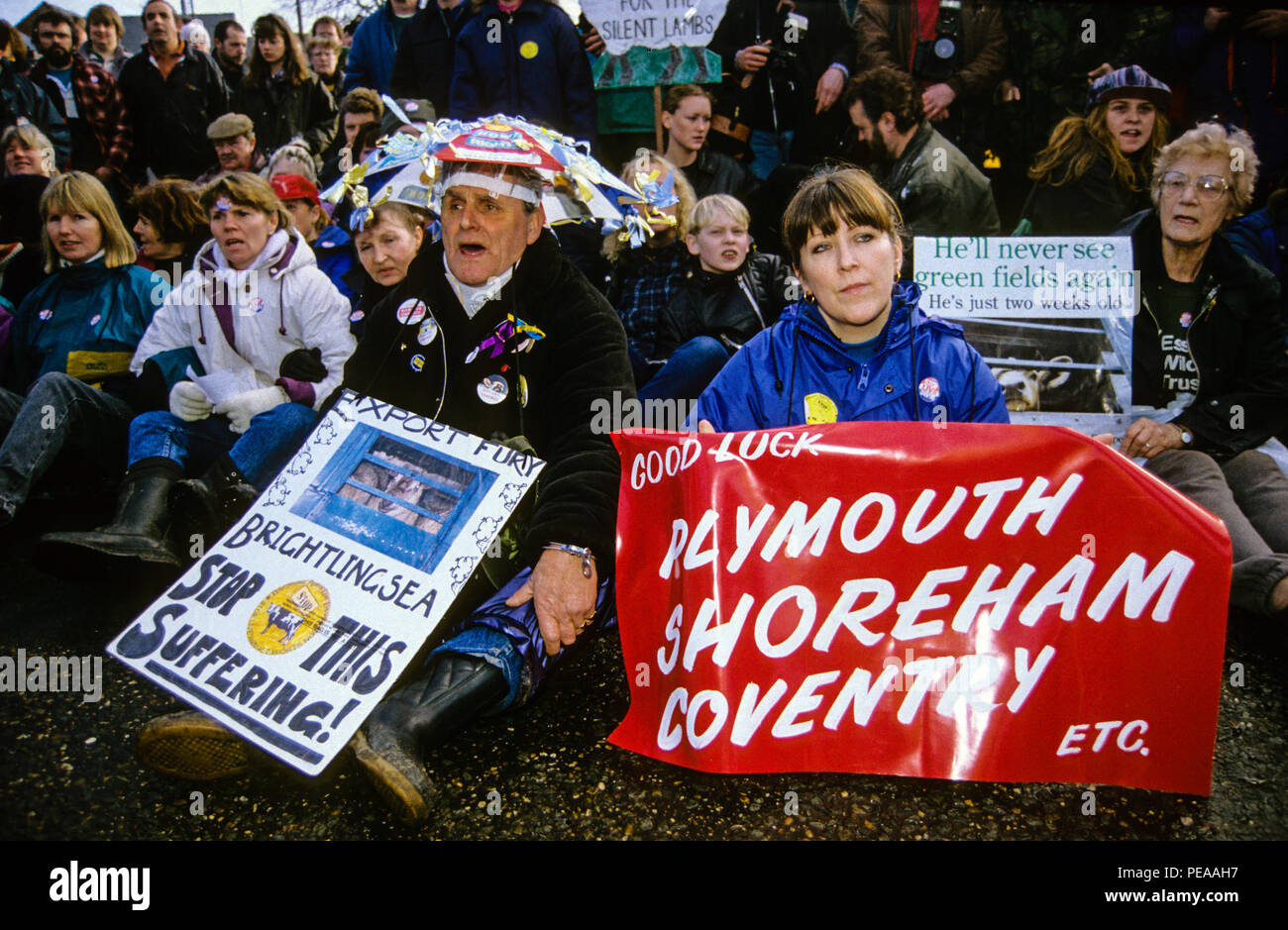 Battaglia di Brightlingsea, vive proteste di esportazione, Brightlingsea, Essex, Inghilterra, Regno Unito, GB. Foto Stock