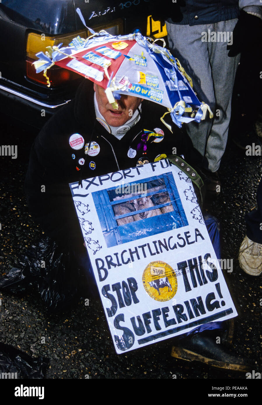 Battaglia di Brightlingsea, vive proteste di esportazione, Brightlingsea, Essex, Inghilterra, Regno Unito, GB. Foto Stock