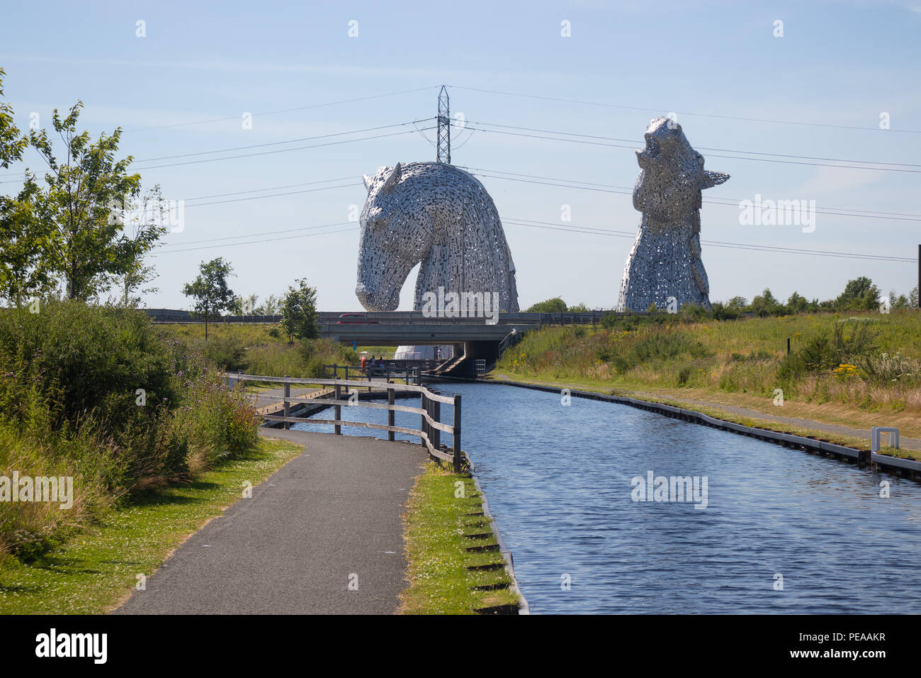 Guardando verso il Kelpies Falkirk in Scozia Foto Stock