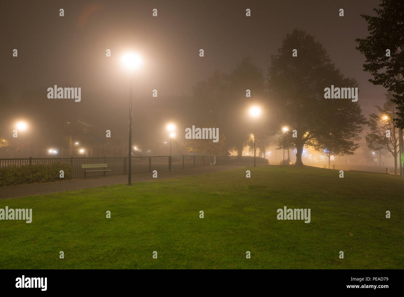 Parcheggio vuoto e lampioni a notte di nebbia Foto Stock
