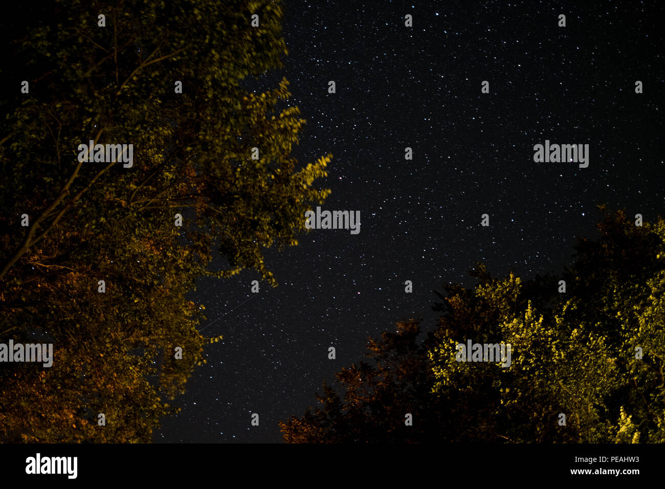 Le stelle nel cielo - il cielo chiaro di notte Foto Stock