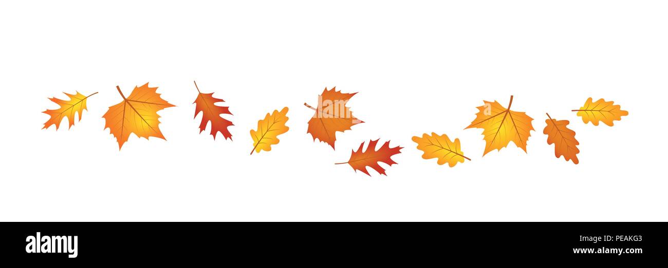 Set di foglie di autunno nel vento illustrazione vettoriale EPS10 Illustrazione Vettoriale