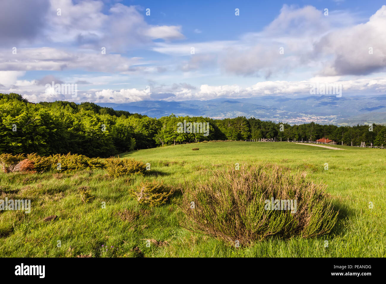 Il vertice del Pratomagno in Toscana (Italia). Una vista della valle del Casentino, in Toscana in provincia di Arezzo Foto Stock