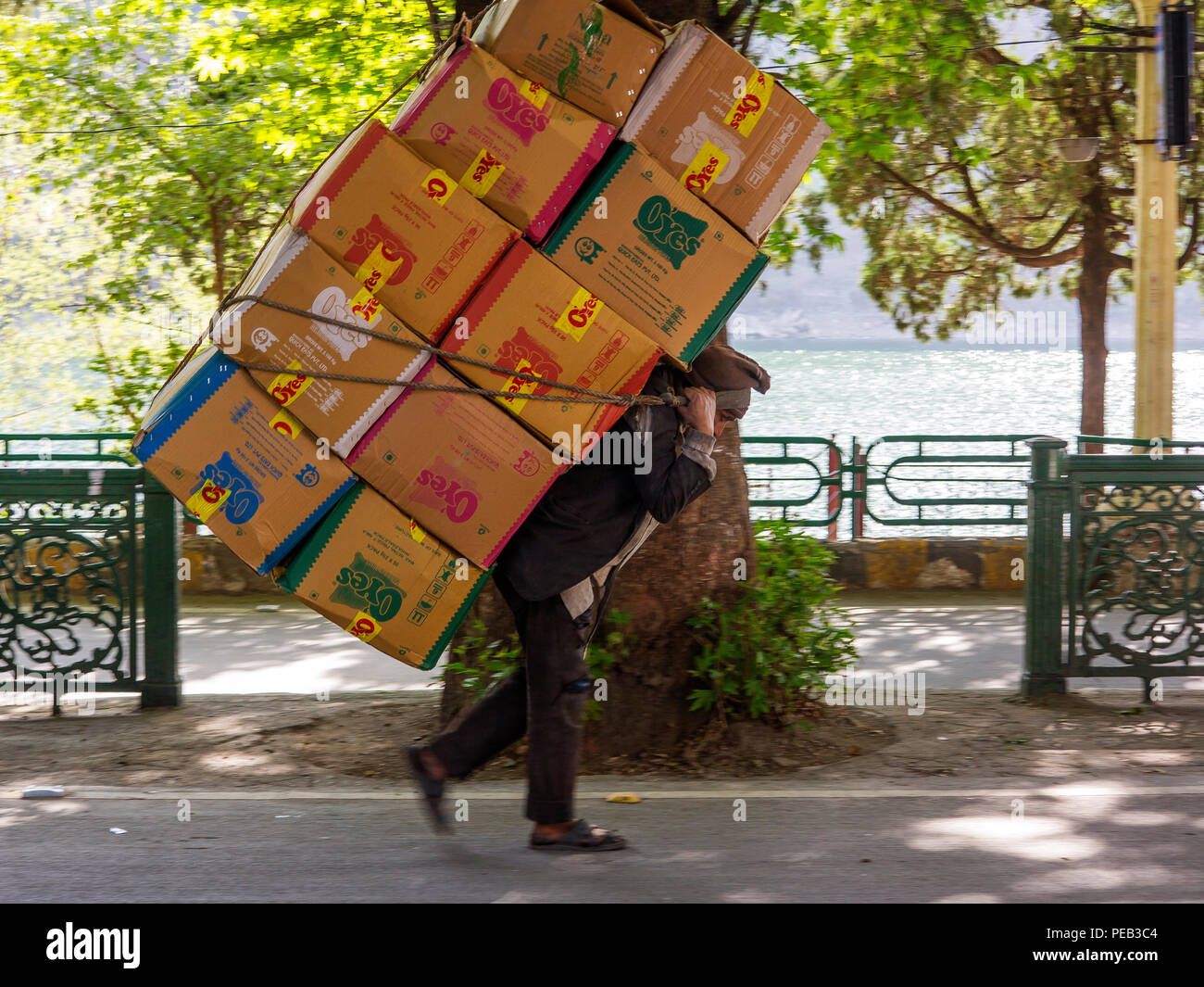 Uomo indiano carring una pila di scatole in stile sherpa vicino Lago di Nainital, Nainital, Uttarakhand, India Foto Stock