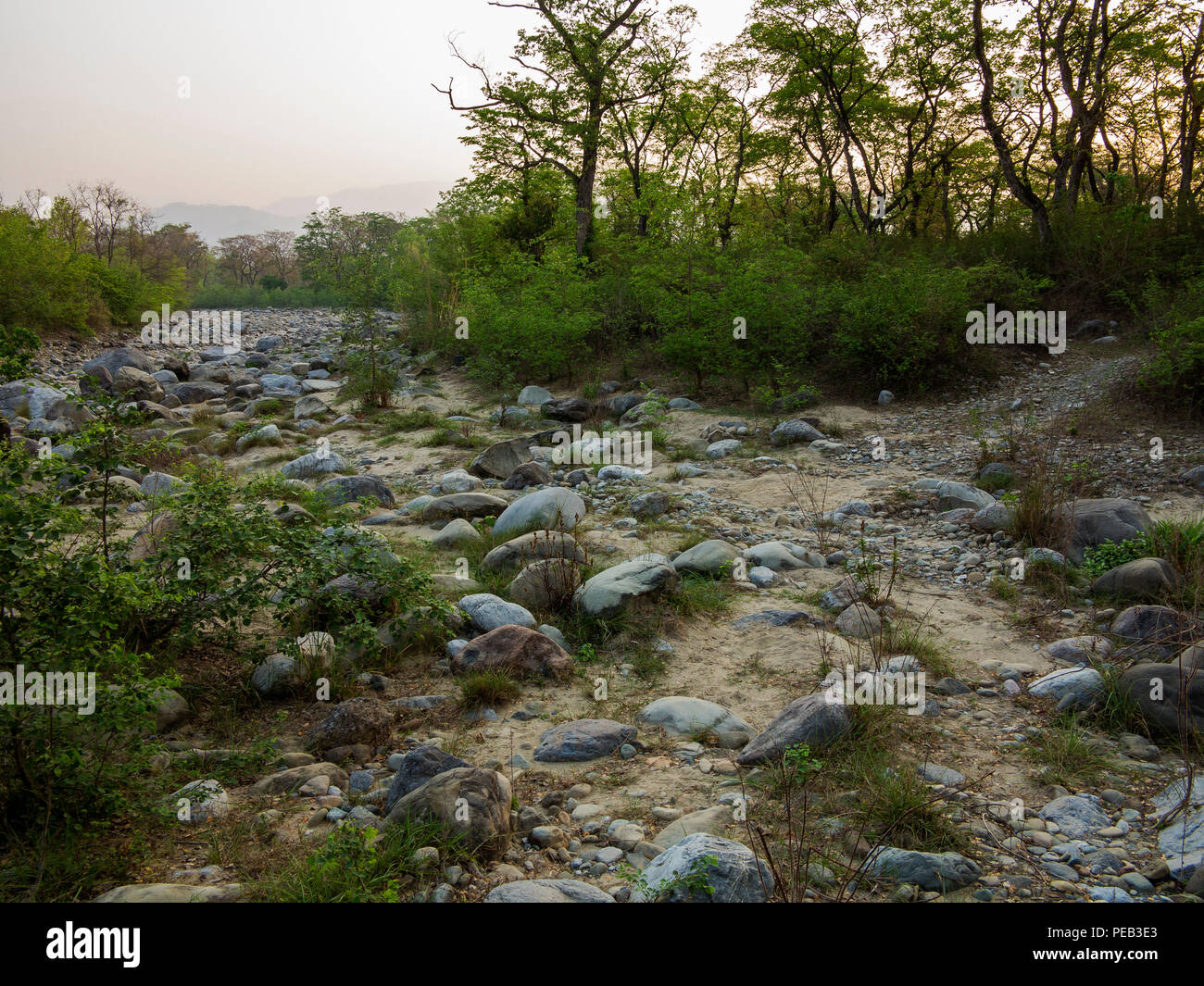 Letto pietroso del cinghiale secco fiume al Kaladhungi, Uttarakhand, India Foto Stock