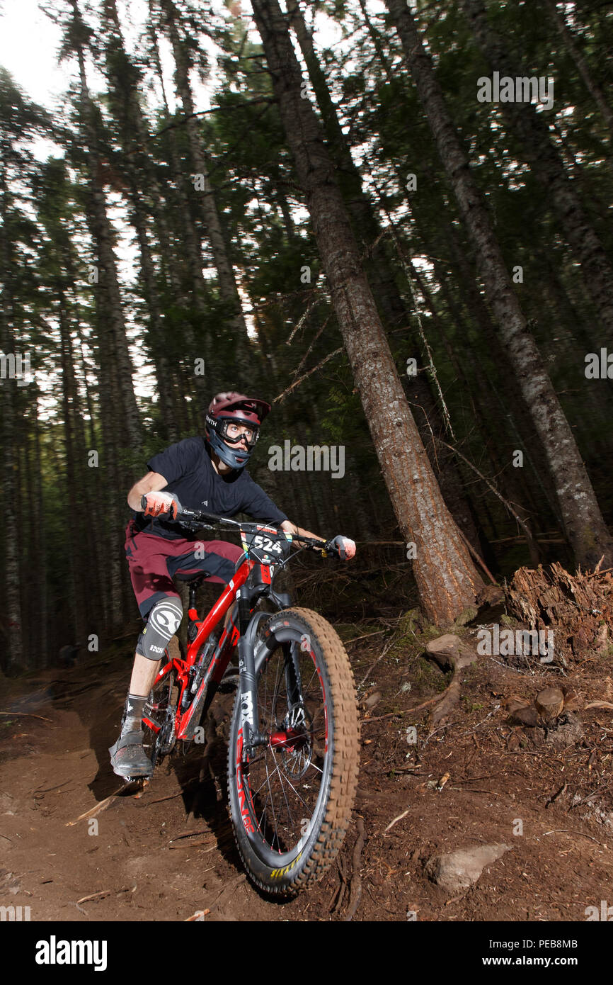 Whistler, Canada. Il 15 agosto 2018. Whistler, British Columbia, Canada. 12 Agosto, 2018. Max Mcculloch (CAN) racing per il terzo posto in U21 mens divisione a agosto 12, 2018 Enduro World Series Camelbak Canadian Open Enduro presentato dalla manifestazione specializzata in Whistler, British Columbia, Canada. Credito: Ironstring/Alamy Live News Credito: Ironstring/Alamy Live News Foto Stock