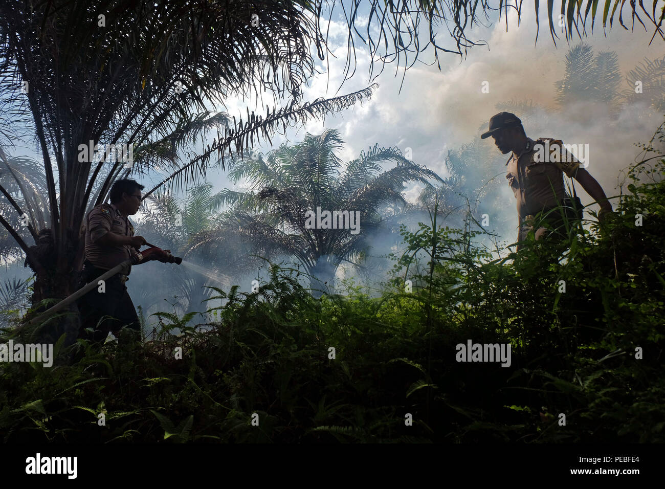 Pekanbaru, RIAU, Indonesia. 14 Ago, 2018. Peatland incendi visto sulla comunità-proprietà olio di palma di piantagioni in Pekanbaru, nella provincia di Riau, Indonesia il 14 agosto 2018. Avanti dei Giochi Asiatici evento su agosto 18, 2018, incendi forestali e del territorio in Sumatra, Indonesia continua si verifica a causa della stagione secca. Credito: Dedy Sutisna/ZUMA filo/Alamy Live News Foto Stock