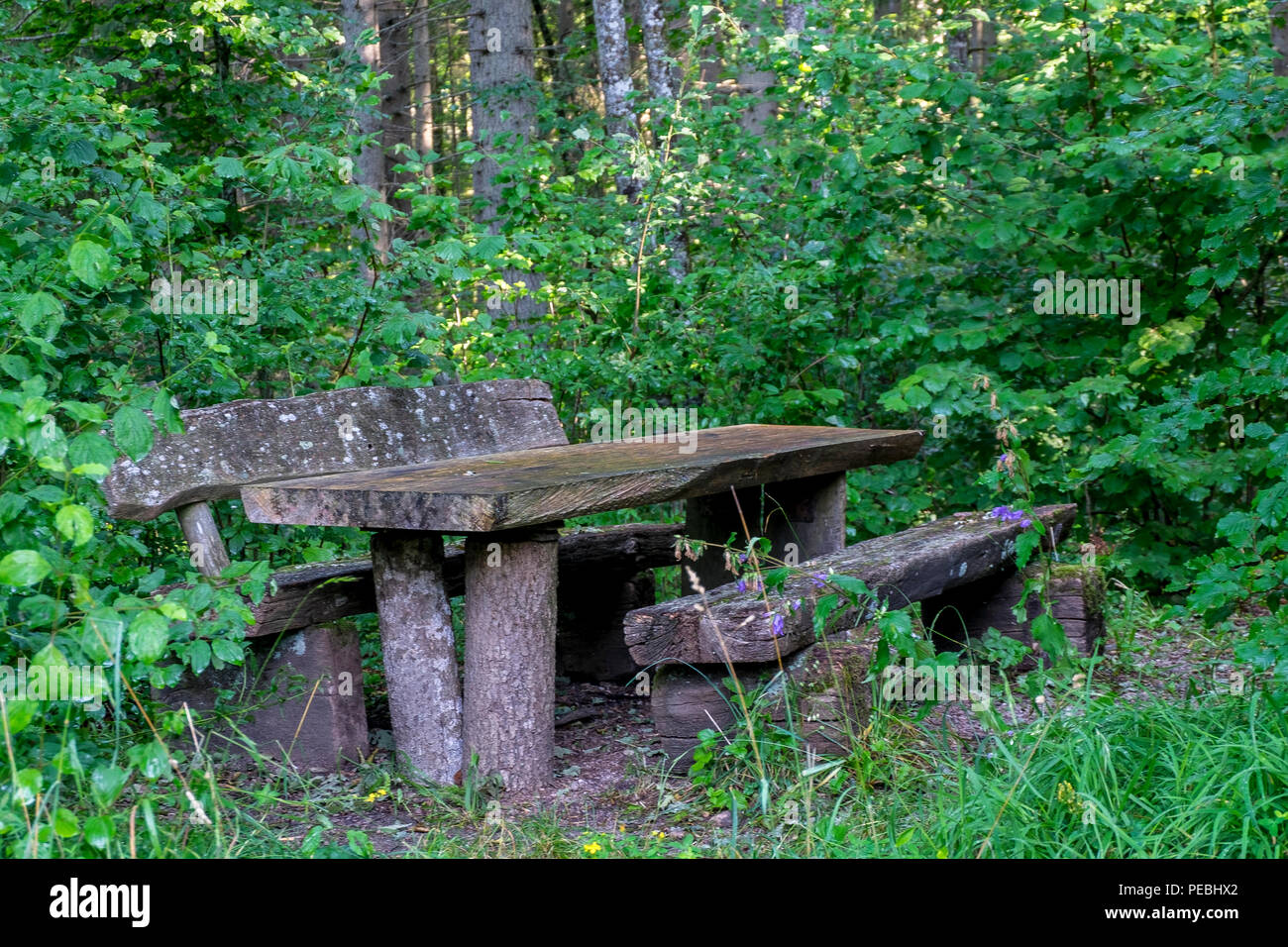 Picnic in legno Panca e tavolo in una foresta in Germania Foto Stock