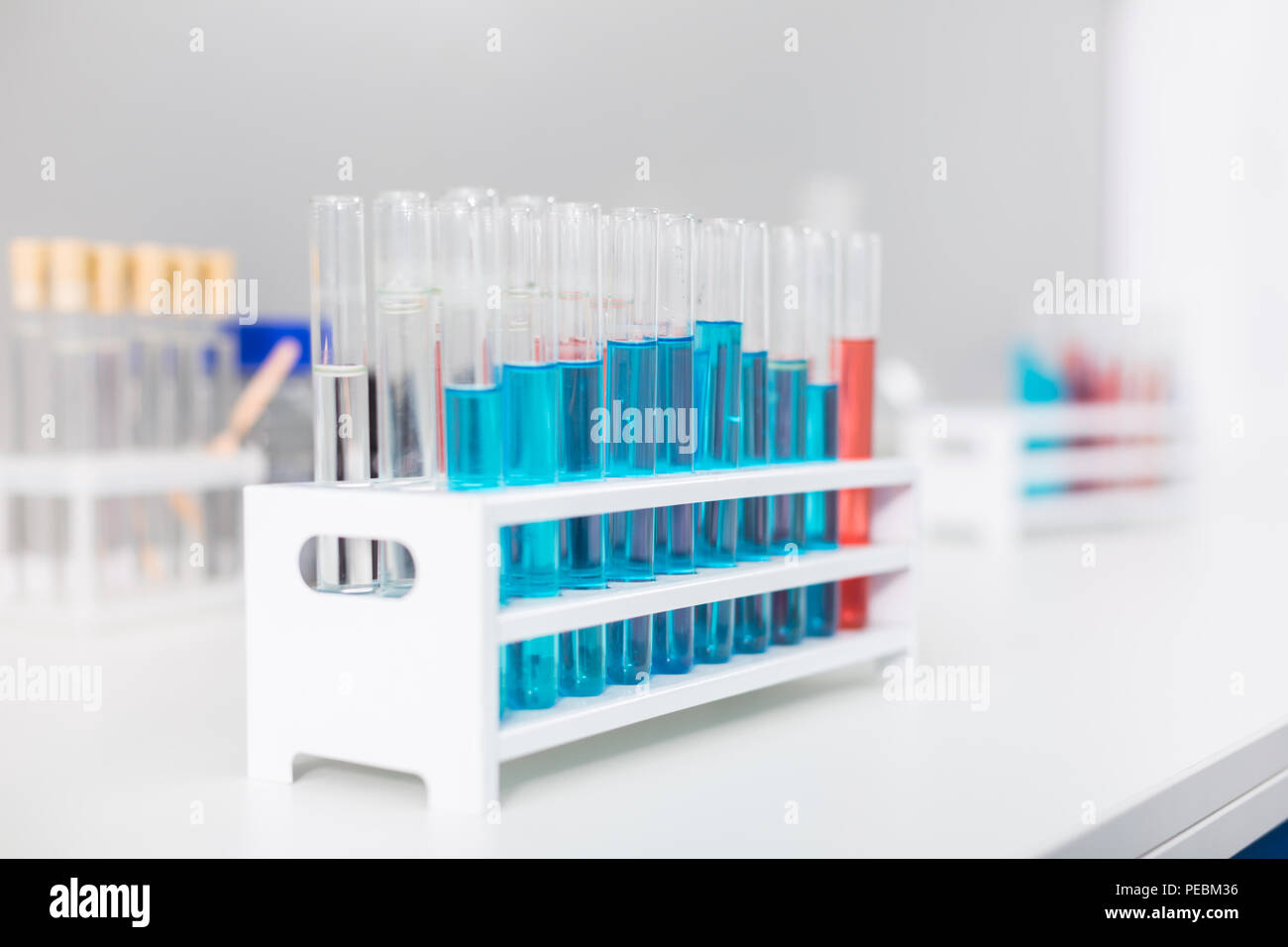 Ordine in laboratorio. Provette in vetro che soggiornano in stand che posto sulla superficie Foto Stock