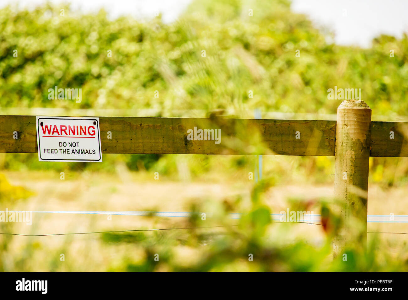 Segnale di avviso di non nutrire gli animali in questo campo Foto Stock