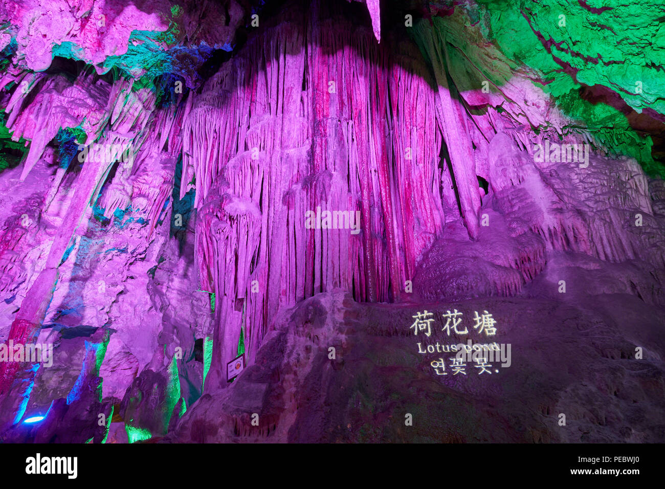 Lotus Pond, illuminato grotta carsica, Zhashui County, Shaanxi, Cina Foto Stock