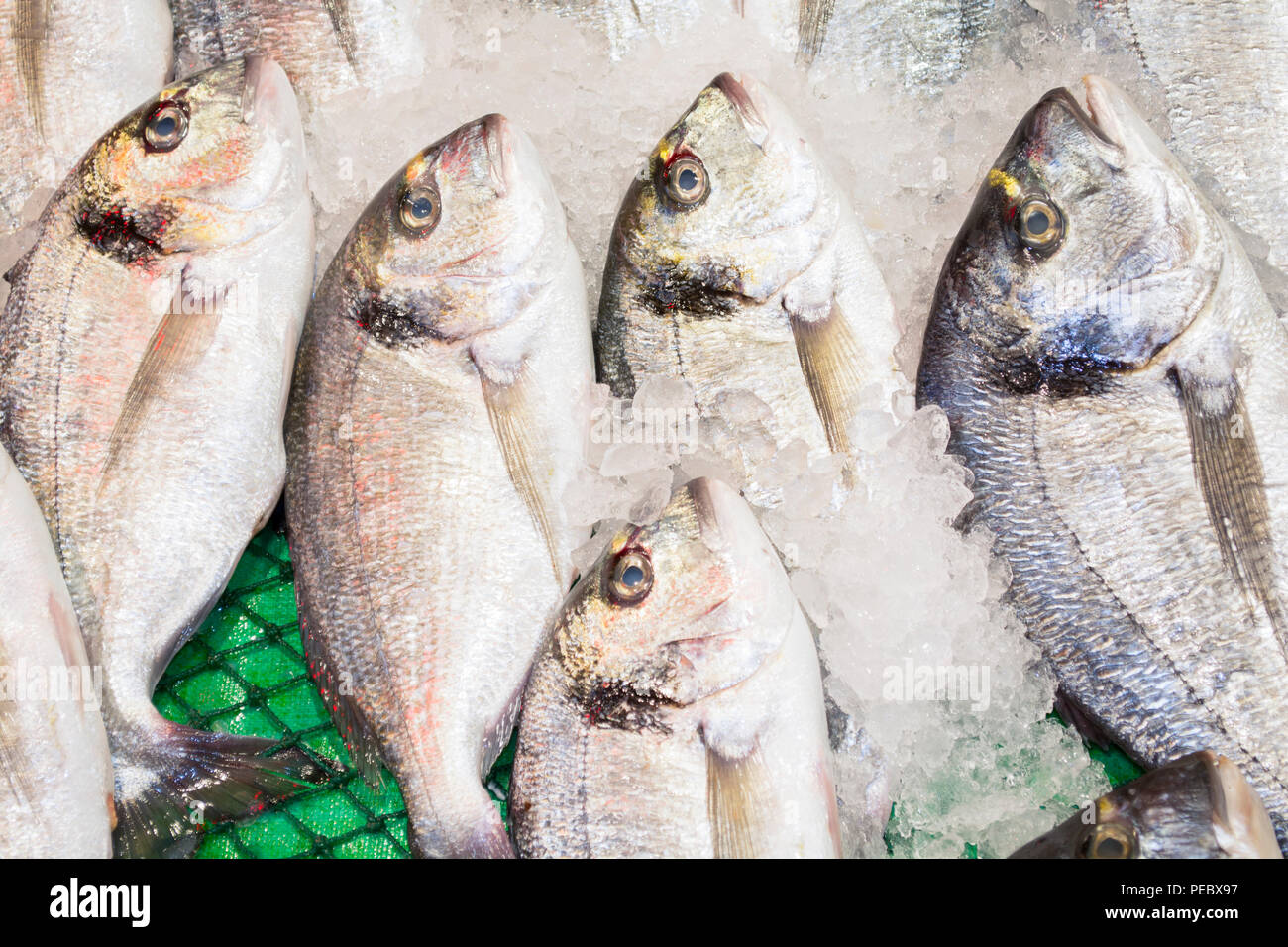 Vendita di pesce nel mercato. Orate di mare Pesce su ghiaccio. Foto Stock