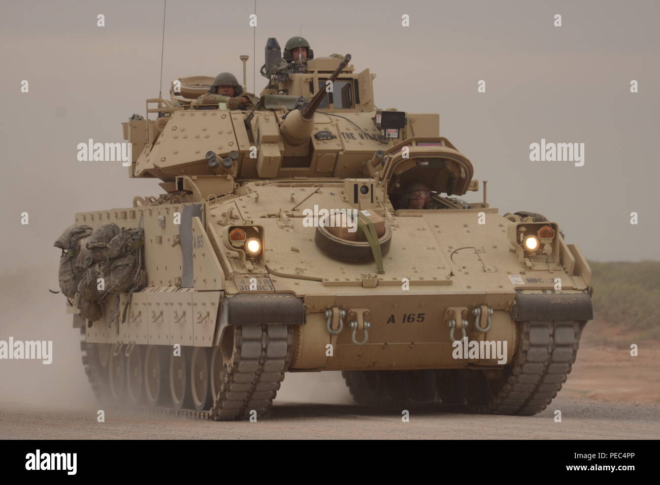 180809-Z-GM460-021 U.S. I soldati dell esercito del 4° Battaglione, 118a reggimento di fanteria della Carolina del Sud e la Guardia nazionale, partecipa all'operazione Hickory Sting a Ft. Bliss, Texas, 9 agosto 2018. Funzionamento Hickory pungiglione è un combattimento esportabile capacità di formazione programma che sfida e preparare i soldati attraverso tutte le abilità speciali per essere più letale, efficace e tatticamente abili nel lavoro. (U.S. Esercito Foto di Sgt. Wayne Becton) Foto Stock