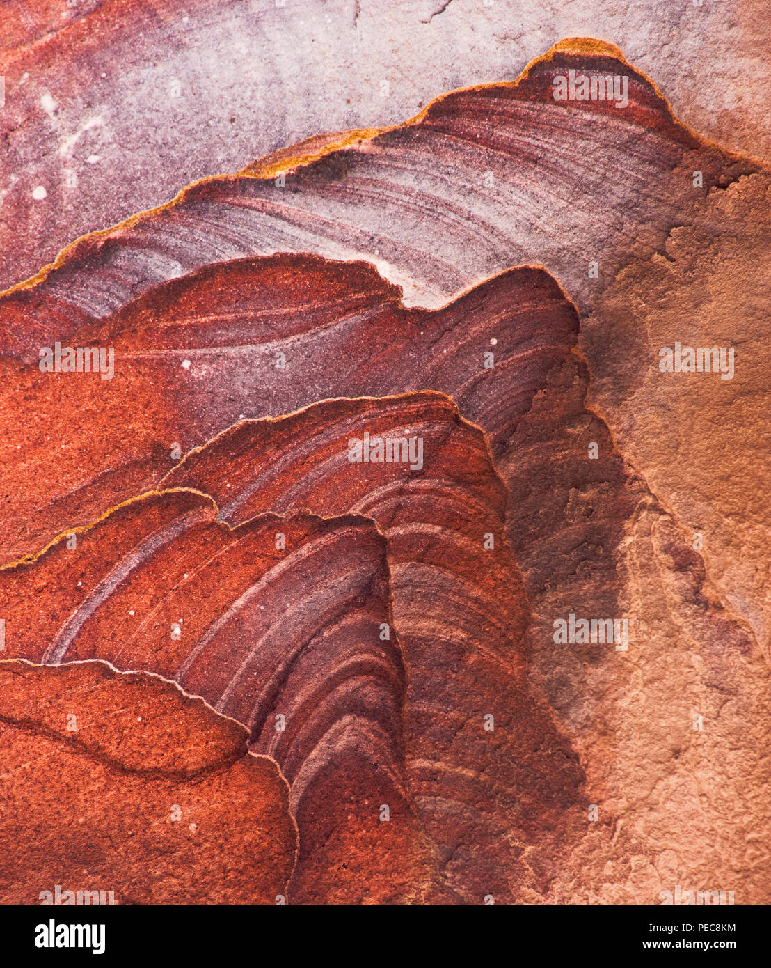 Di arenaria rossa e la formazione di Petra, Giordania Foto Stock