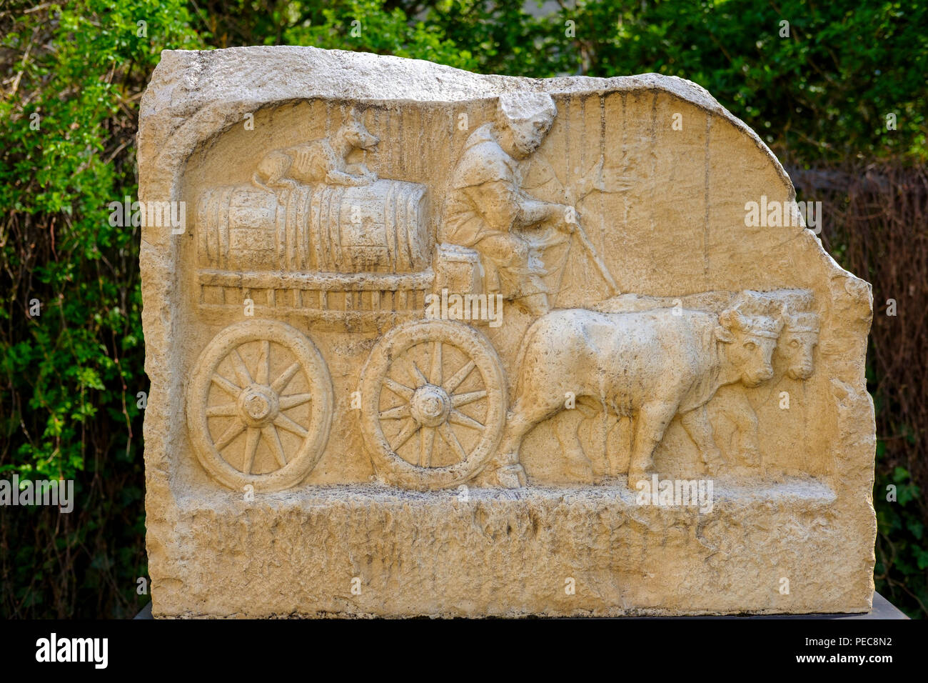 Rilievo romano di un bue carrello, Augsburg, Svevia, Baviera, Germania Foto Stock