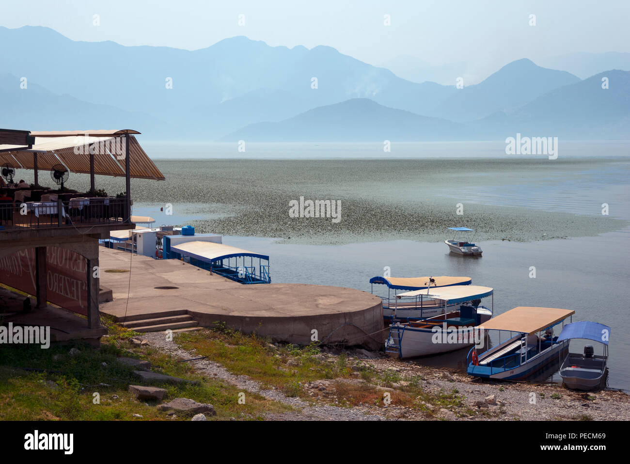 Il Lago di Scutari vicino Vranjina, Montenegro Foto Stock