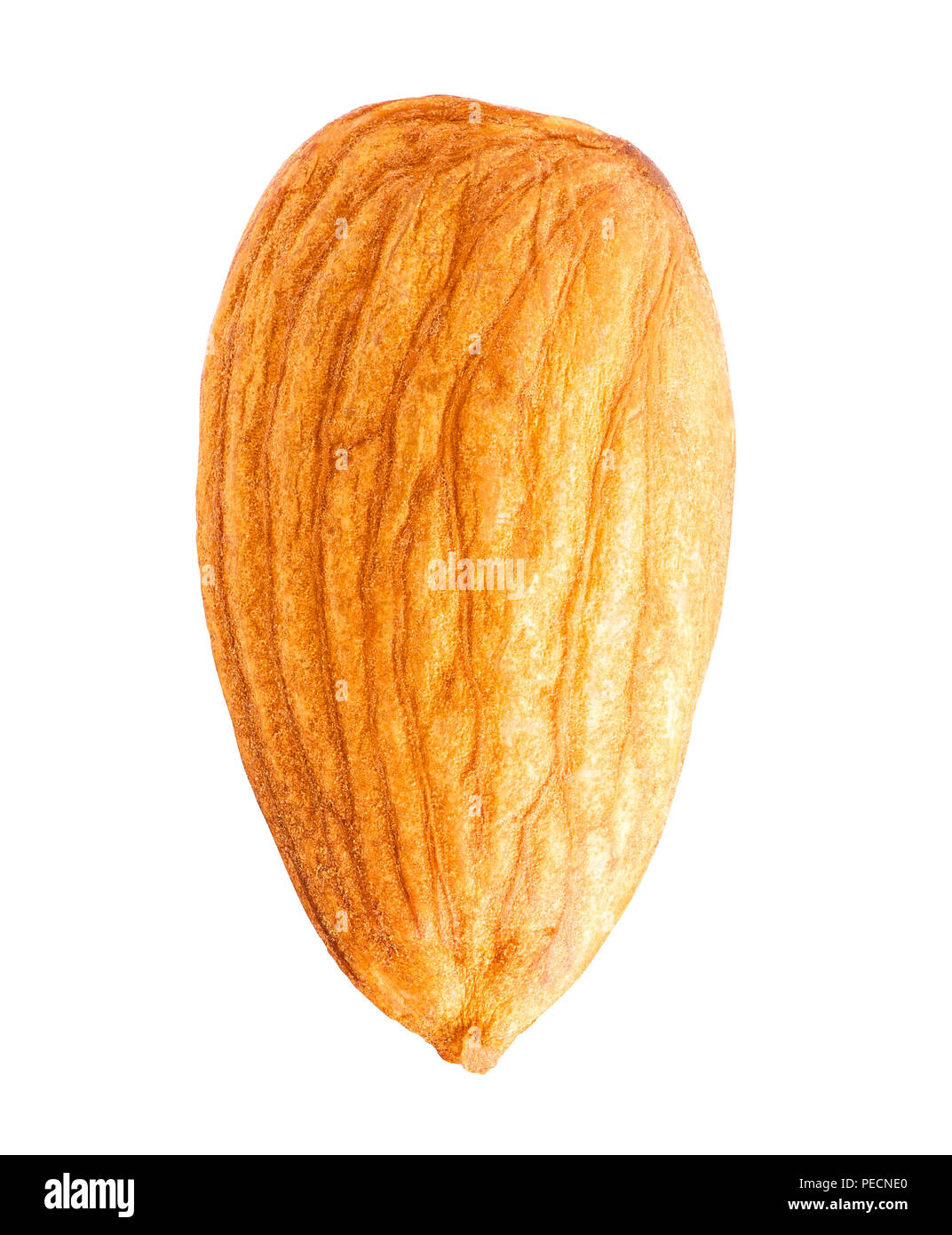 Almond isolate su uno sfondo bianco con percorso di clipping. Macro. Foto Stock