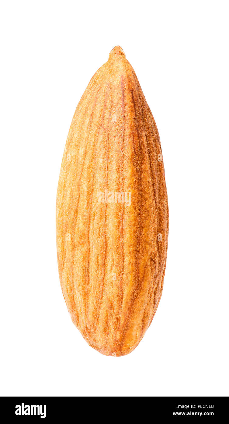 Almond isolate su uno sfondo bianco con percorso di clipping. Macro. Foto Stock
