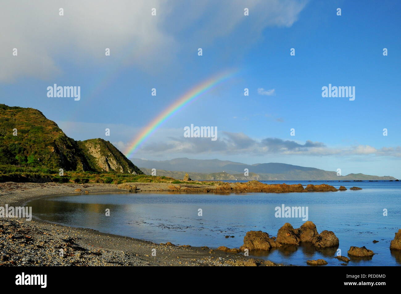Guardando ad est dal punto di Moa dall aeroporto di Wellington, sopra una baia senza nome alla testa Turakirae e lo Stretto di Cook Foto Stock