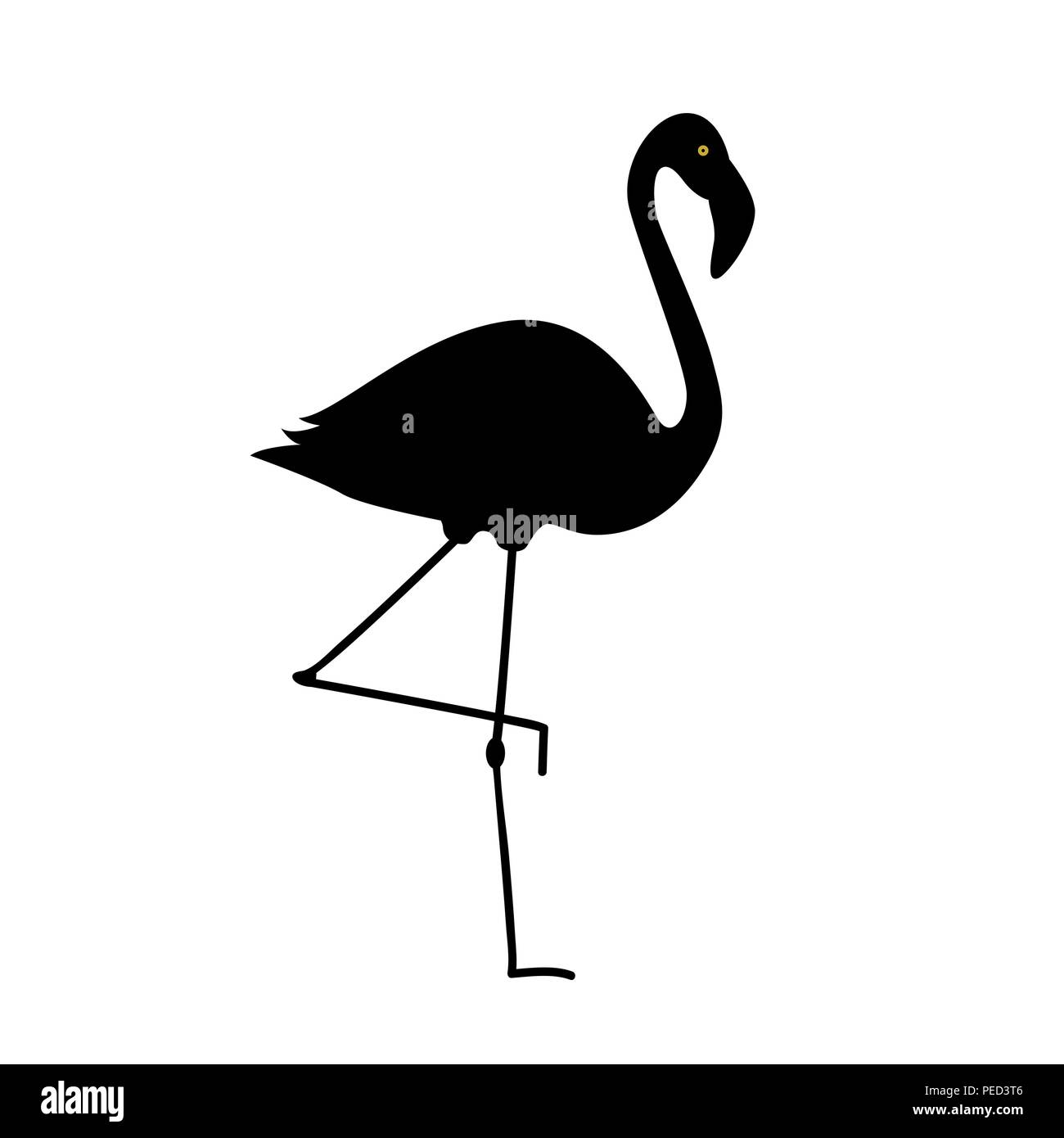 Flamingo silhouette isolati su sfondo bianco illustrazione vettoriale EPS10 Illustrazione Vettoriale