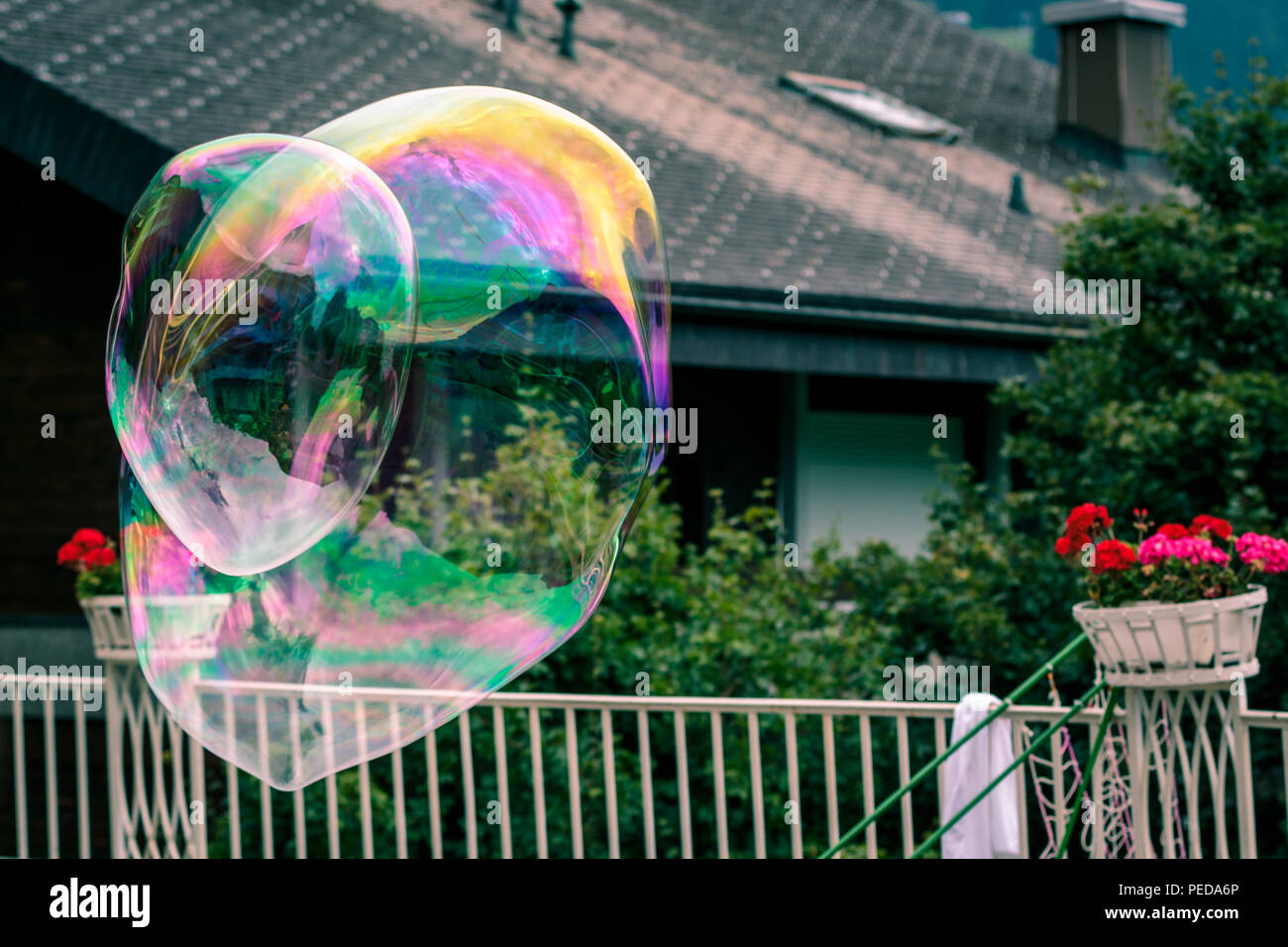 2 big rainbow bolle di sapone flyining in aria su un giardino sullo sfondo Foto Stock