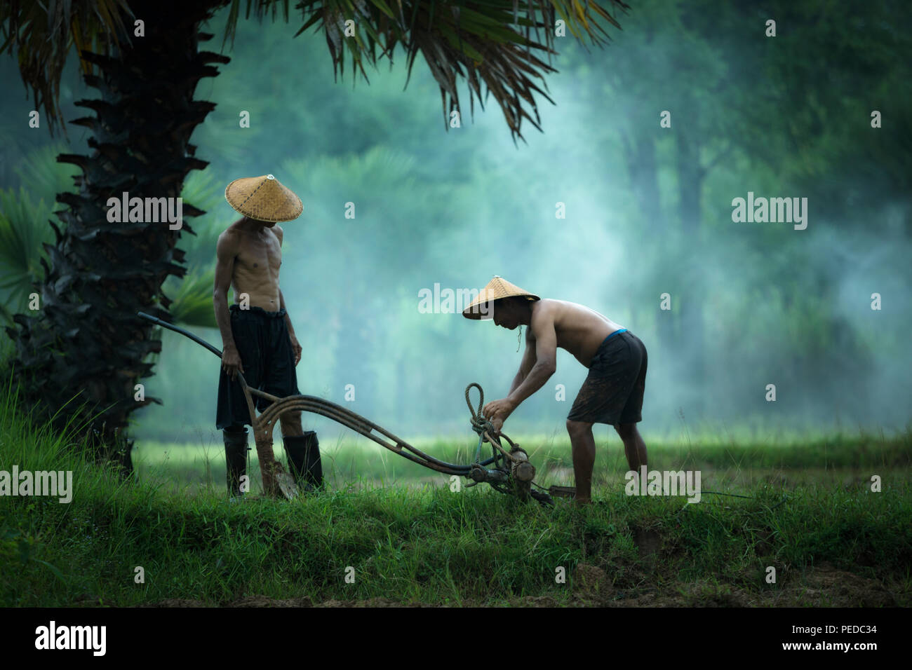 Gli agricoltori sono strumenti di preparazione per gli agricoltori in Thailandia. Foto Stock