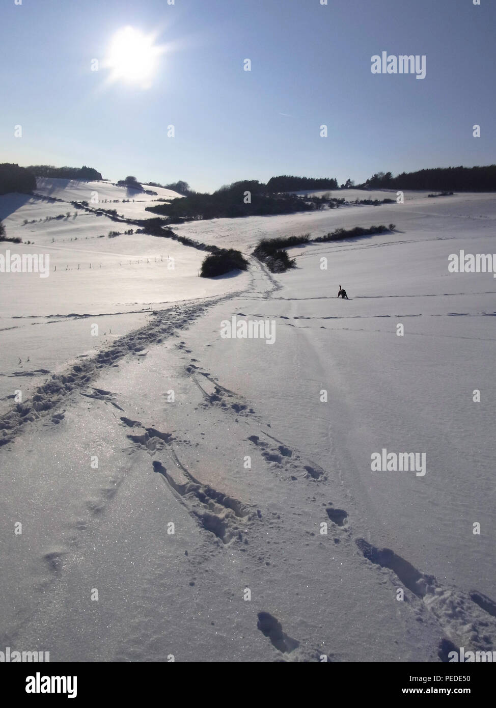 Spuren in einer ruhigen Winterlandschaft mit viel Schnee, die zu einem Spaziergang einlädt, auf dem uomo Abstand zu den Alltagssorgen finden kann Foto Stock