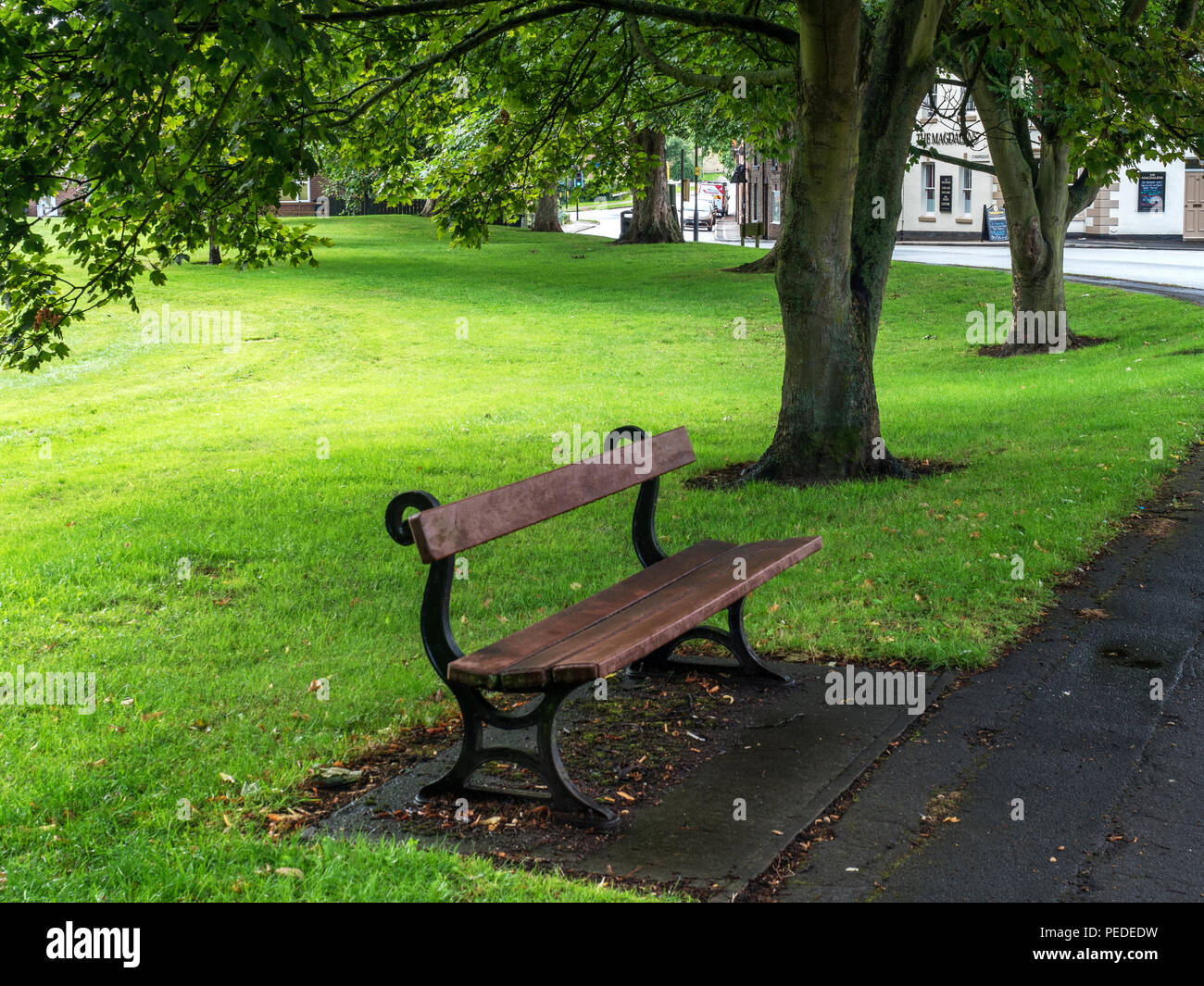 Banco sotto gli alberi in risaie Parco in estate Ripon Inghilterra Yorkshire Foto Stock