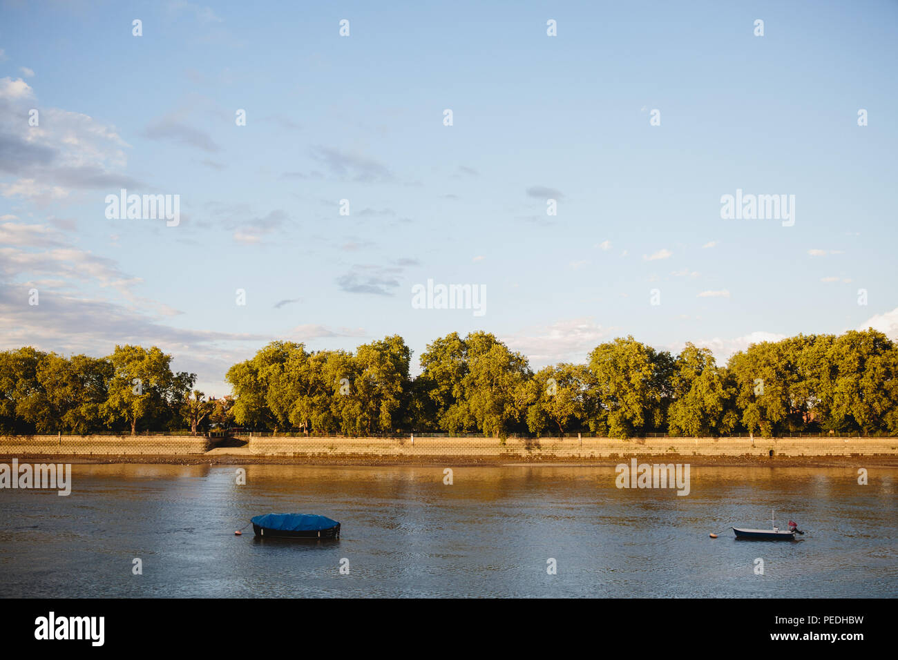 Piccole imbarcazioni ormeggiato sul fiume Tamigi tra Putney e Fulham a Londra Foto Stock