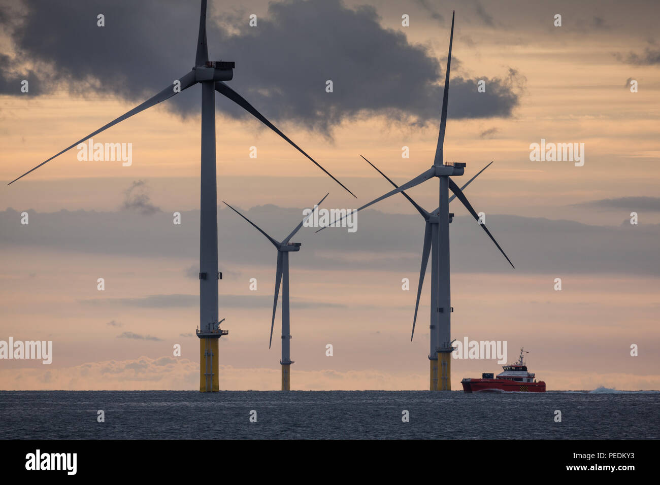 Una vista del tramonto di MHI turbine eoliche Vestas sulla Walney estensione (WOW03) Offshore Wind Farm Foto Stock