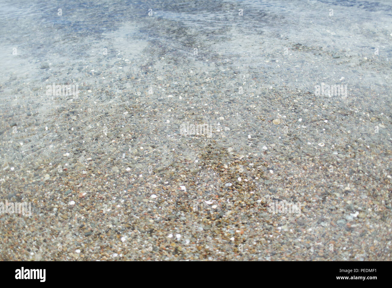 L'acqua chiara con piccole conchiglie, ciottoli e sabbia visibile sul fondo Foto Stock